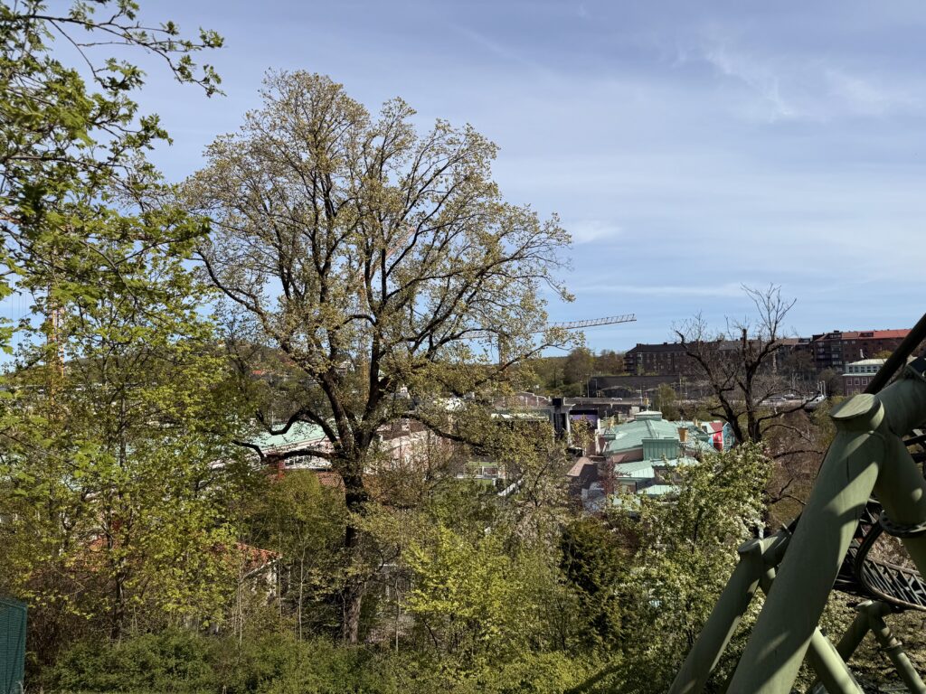 Utsikt över Lisebergsparken